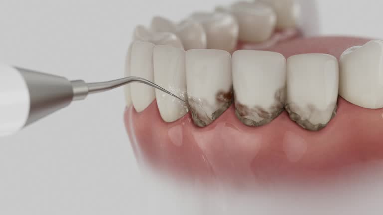 Reliable Dental contractor in Bret Harte, CA by Dentist Open Now